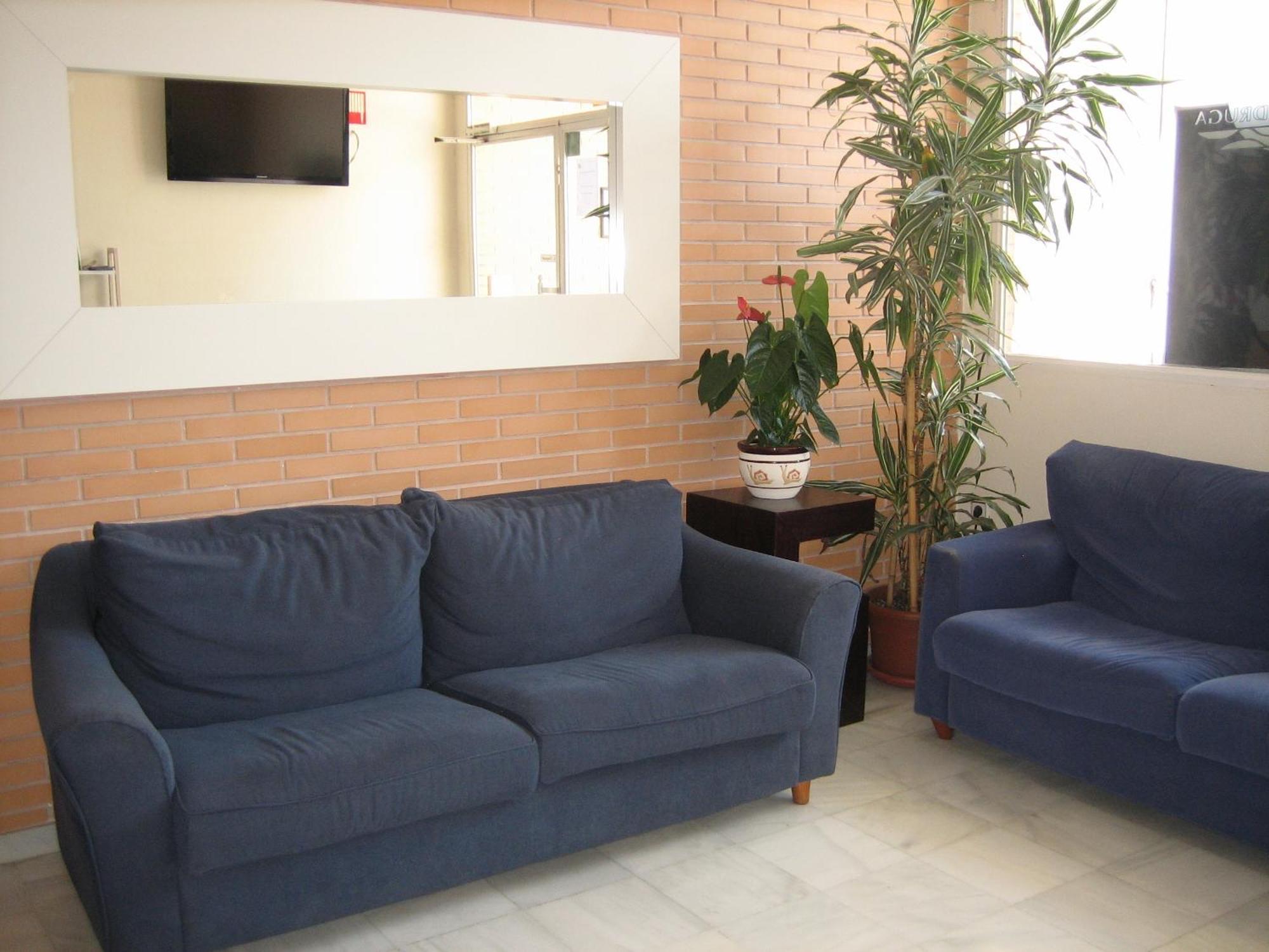 Hostal Madruga เอลเช ภายนอก รูปภาพ